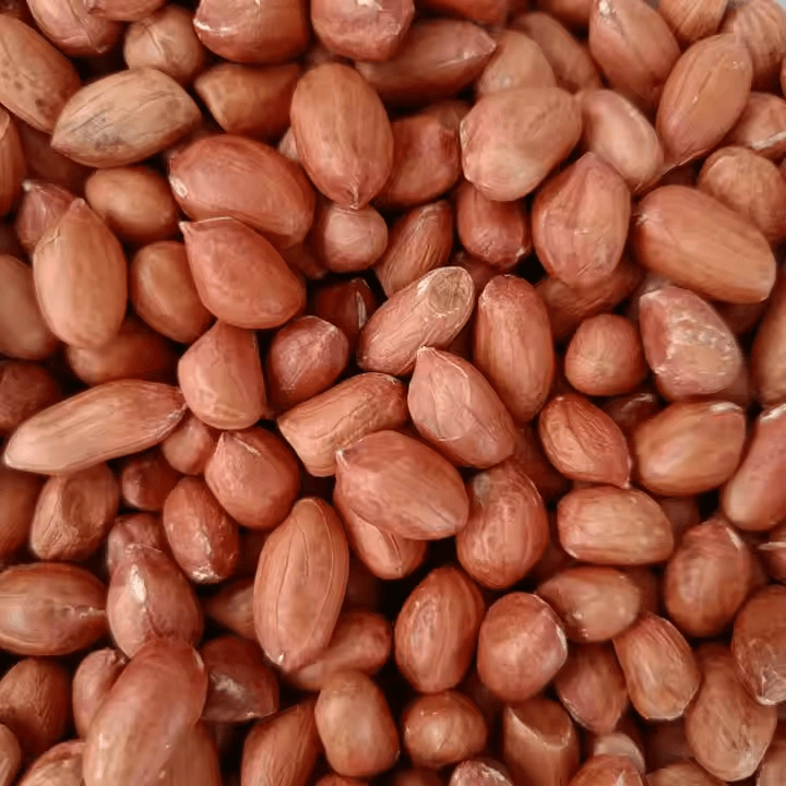 Groundnut Seeds 5kg