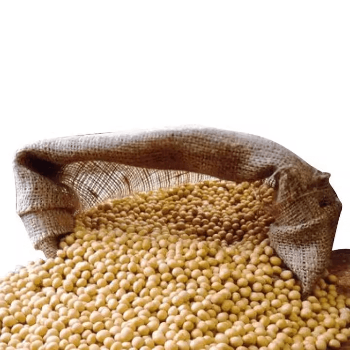 Soy beans 